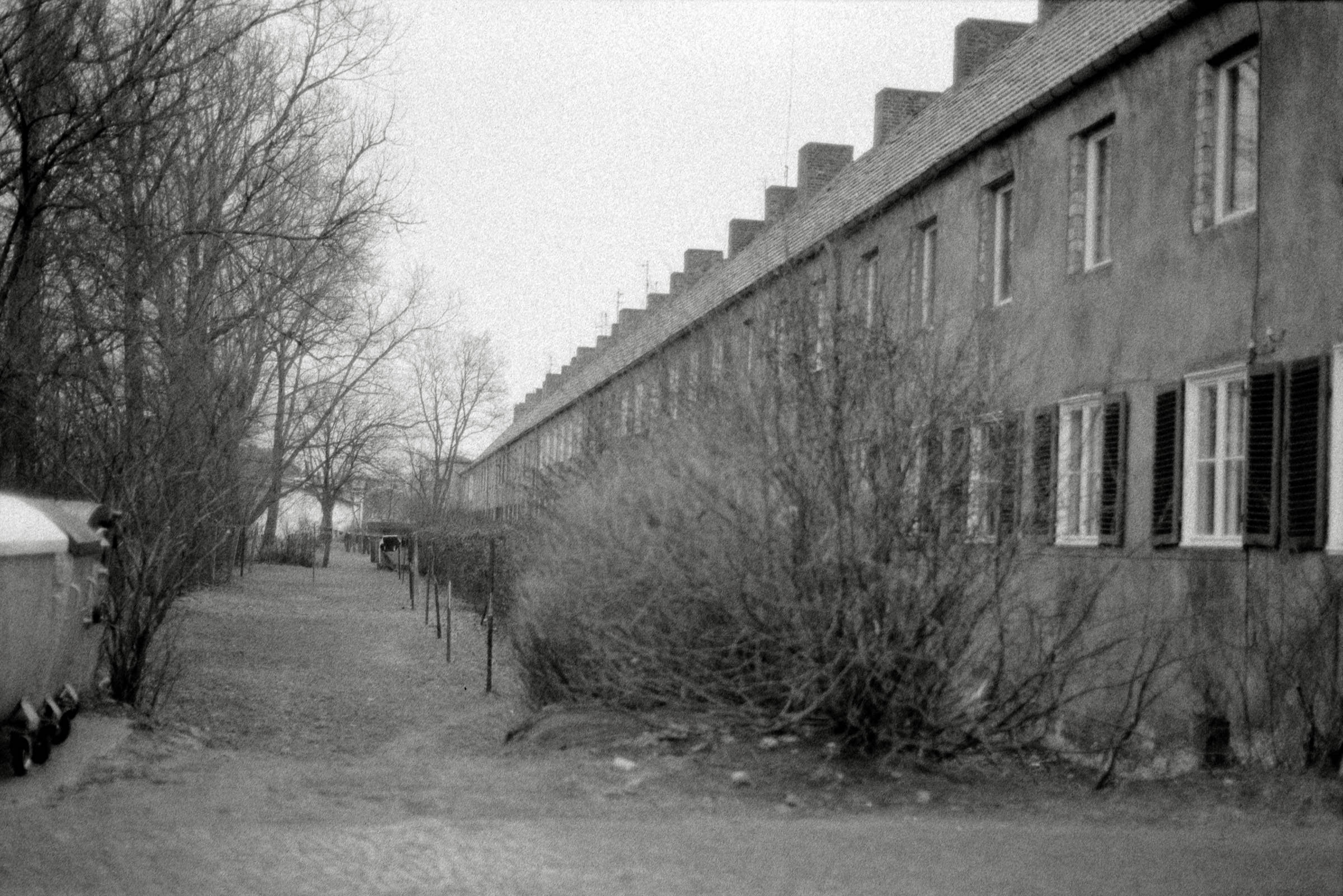 AHP F1993 03 003 sc240902 img33 NLP